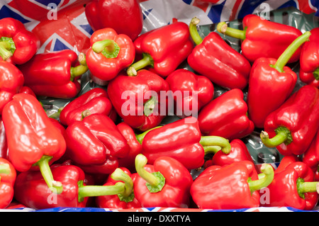 Poivrons rouge sur l'affichage en supermarché Banque D'Images