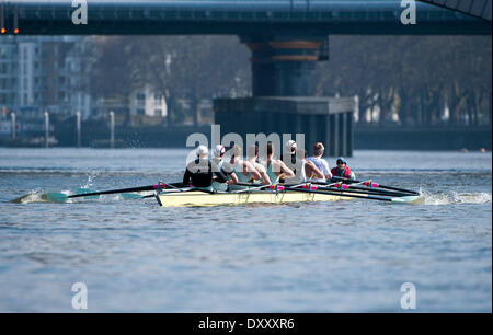 Putney, Londres. 01 avr, 2014. Cambridge bleu bateau sur la Tamise pendant Tideway semaine. Tidey est dernière partie de l'accumulation vers la 160e exécution de la University Boat Race le 6 avril 2014. Credit : Action Plus Sport/Alamy Live News Banque D'Images