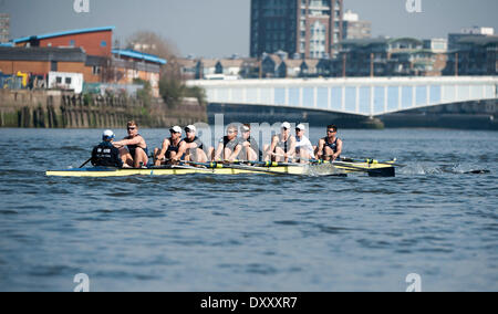 Putney, Londres. 01 avr, 2014. Oxford bleu bateau sur la Tamise pendant Tideway semaine. Tidey est dernière partie de l'accumulation vers la 160e exécution de la University Boat Race le 6 avril 2014. La Boat Race 2014 est parrainé BNY Mellon . Credit : Action Plus Sport/Alamy Live News Banque D'Images