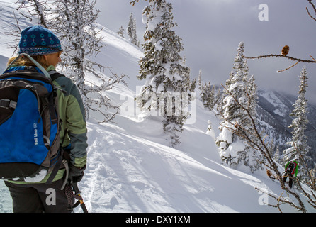 Les Skieurs de retour sur les skis peaux synthétiques pour l'escalade artificielle, North Cascades, Washington, USA Banque D'Images