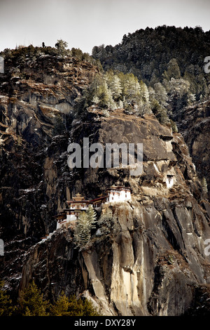 Vue de l'Tak Stang (Tiger's Nest) temple bouddhiste (dzong) près de Paro au Bhoutan Banque D'Images