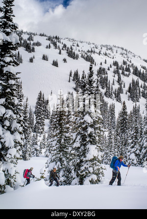 Les Skieurs de retour sur les skis peaux synthétiques pour l'escalade artificielle, North Cascades, Washington, USA Banque D'Images