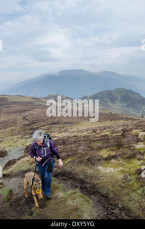 Une femme et son chien Seigneur ascendant du conducteur dans le Lake District. Barf et Skiddaw sont visibles en arrière-plan Banque D'Images