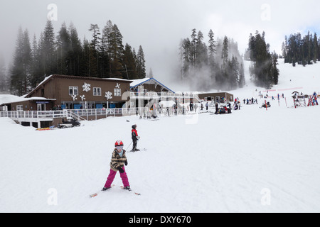 Le brouillard balaie Badger Pass Ski Area à Yosemite National Park Banque D'Images