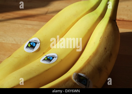 Bande de bananes du commerce équitable Banque D'Images