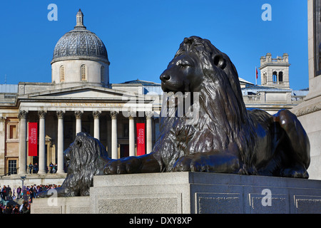 Statue de lion par en dessous de Landseer la Colonne Nelson et de la National Gallery à Trafalgar Square, Londres, Angleterre Banque D'Images