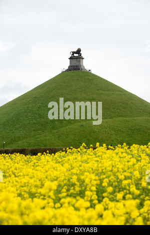 WATERLOO, Belgique — des fleurs sauvages jaunes fleurissent dans les champs préservés du champ de bataille historique de Waterloo, avec la butte du Lion en arrière-plan. La colline artificielle, surmontée de son emblématique statue de lion en fonte, marque l'endroit où le prince d'Orange a été blessé lors de la bataille de Waterloo. Le paysage pastoral conserve une grande partie de son caractère historique de la célèbre bataille du 18 juin 1815. Banque D'Images