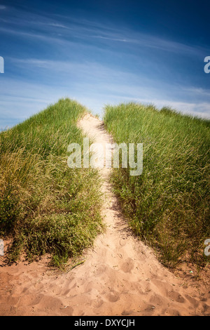 Chemin des dunes de sable sur la plage avec de l'herbe dans North Rustico, Prince Edward Island, Canada. Banque D'Images