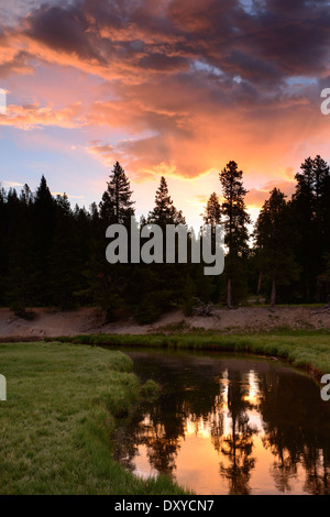 Le lever du soleil sur la Gibbon River in Yellowstone National Park. Banque D'Images