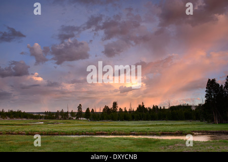 Le lever du soleil sur la Gibbon River in Yellowstone National Park. Banque D'Images