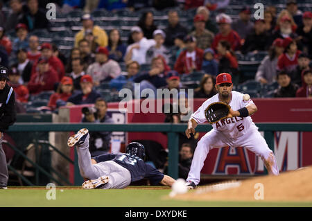 Anaheim, CA, USA. 1er avril 2014. Mariners de Seattle center fielder Dustin Ackley (13) plongées à la deuxième base en lieu sûr avant de Los Angeles Angels premier but Albert Pujols (5) attrape la balle au cours de la MLB match entre les Mariners de Seattle et Los Angeles Angels à l'Angels Stadium à Anaheim, CA. Mariners de Seattle défait Los Angeles Angels 8-3. Credit : csm/Alamy Live News Banque D'Images