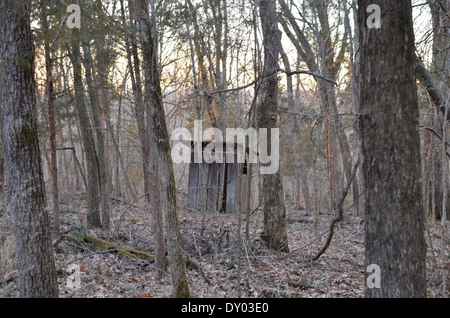 Old outhouse dans les bois Banque D'Images