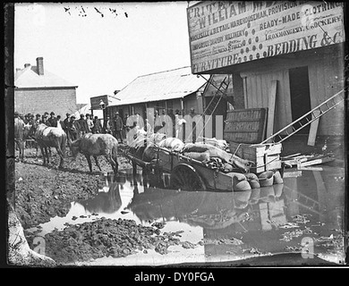 Cheval et panier embourbé dans ce qui était autrefois un creusement d'or à l'extérieur du magasin, critère inondées meares clarke street, Hill, 1872 Fin d'hiver / American & australasian photographic company Banque D'Images