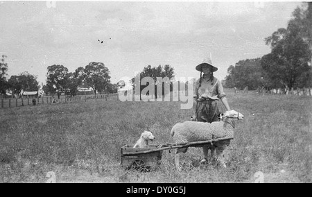 Yap Yap (chien) en chariot tiré par Achong - Trundle, NSW, n.d. / Par Photographe inconnu Banque D'Images