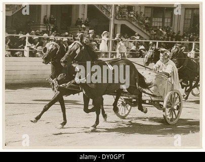 Une photographie des années 1930 de Sam Hood capture l'excitation d'une course de chars au Royal Easter Show à Sydney, mettant en vedette l'un des événements clés de la ville de l'époque. Banque D'Images