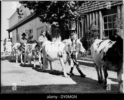 Royal Agricultural Show, 1937, par Sam Hood Banque D'Images