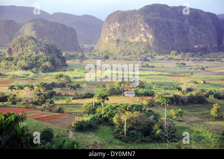 Vallée de Vinales dans la lumière de fin de soirée Cuba Banque D'Images