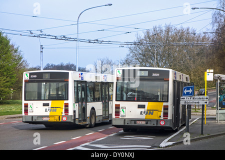 Deux bus de la société de transports flamande De Lijn Vlaamse Vervoersmaatschappij / De Lijn en Belgique Banque D'Images