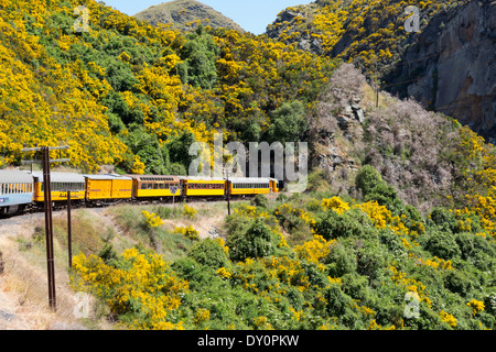 Chemin de fer touristique Taieri Gorge train passe dans un tunnel sur son voyage en haut de la vallée, Nouvelle-Zélande Banque D'Images