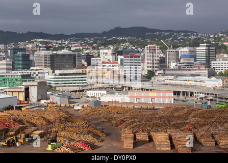 Wellington, Nouvelle-Zélande - Centre-ville de gratte-ciel et immeubles de bureaux avec le bois d'oeuvre au port prête à l'exportation Banque D'Images