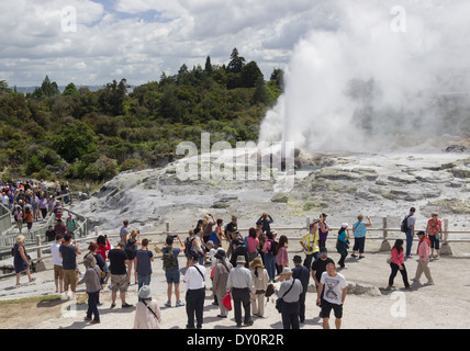 Les touristes regarder un geyser dans la vallée géothermique de Whakarewarewa, Rotorua, Nouvelle-Zélande Banque D'Images