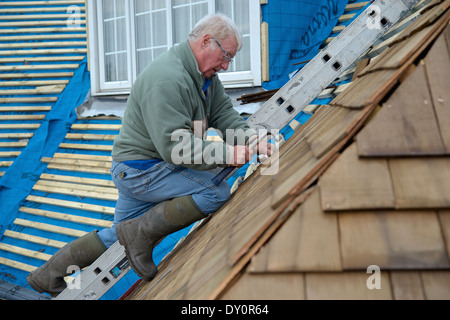 Un couvreur marteler en bardeaux de cèdre sur un toit d'habitation. Projet d'amélioration de l'utilisation de matériaux durables concept. Banque D'Images