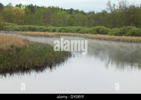 Wolf River, dans le nord du Wisconsin. Photographie numérique Banque D'Images