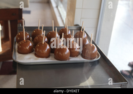 Pommes au caramel d'Kilwins shop à Sarasota, Floride Banque D'Images