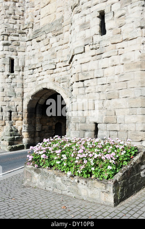 Arqué Bondgate Tower faisant partie de la vieille ville fortifiée d'Alnwick Northumberland England Royaume-Uni UK Banque D'Images