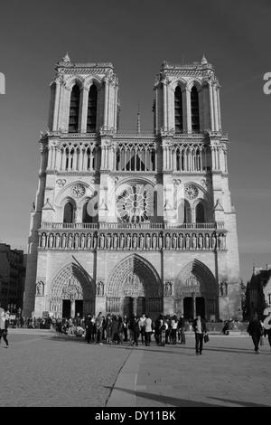 Notre Dame de Paris en monochrome Banque D'Images