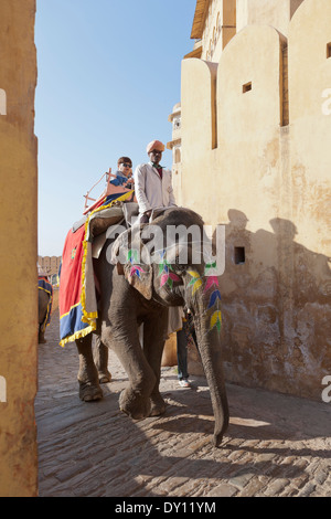 L'ambre, Rajasthan, Inde. Des éléphants au Fort-Palace Ambre. L'ambre est situé à11 km (6,75 miles) au nord de Jaipur Banque D'Images