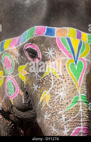 L'ambre, le Rajasthan, l'Inde, l'éléphant à Amber Fort-Palace manèges Banque D'Images