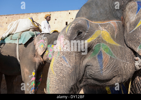 L'ambre, le Rajasthan, l'Inde, l'éléphant à Amber Fort-Palace manèges Banque D'Images