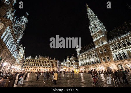 BRUXELLES, Belgique — les bâtiments historiques de la Grand-place brillent sous l'éclairage du soir, leurs façades gothiques et baroques éclairées de façon spectaculaire contre le ciel nocturne. Les détails architecturaux du site classé au patrimoine mondial de l'UNESCO sont rehaussés par un éclairage soigneusement positionné qui accentue les pierres ornées et la décoration dorée. La place médiévale se transforme après la tombée de la nuit en une exposition théâtrale d'architecture historique illuminée. Banque D'Images