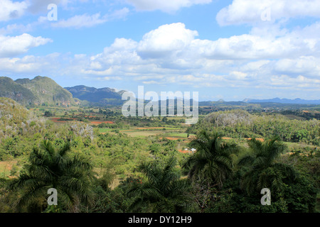 Vue de la Vallée de Viñales, Cuba Banque D'Images