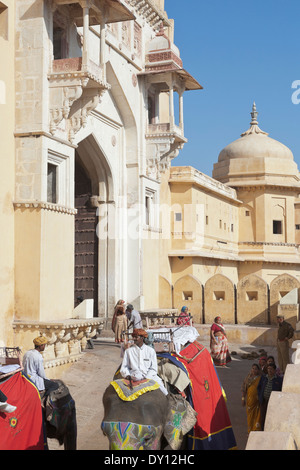 L'ambre, le Rajasthan, l'Inde, l'éléphant à Amber Fort-Palace manèges Banque D'Images