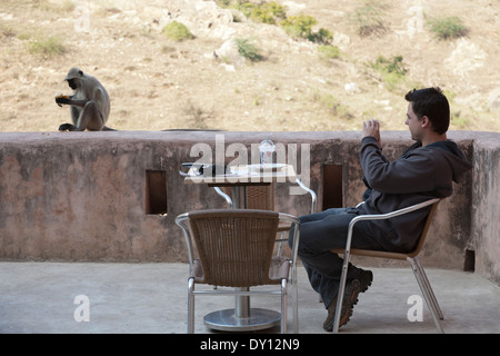 Un singe consomme des aliments récemment arraché à un touriste à la table à manger sur la photo. Fort Amber restaurant, Rajasthan, Inde Banque D'Images