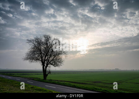 Ely, au Royaume-Uni. 3 avril, 2014. Le soleil a du mal à briller à travers un ciel chargé de poussière juste après l'aube près d'Ely dans le Cambridgeshire Fens 3e avril 2014. La brume est causée par les systèmes météorologiques apportant de l'air pollué de l'Europe et la poussière du désert du Sahara. Il a été particulièrement perceptible dans le paysage plat de la fens. Météo de l'Atlantique est mis à rafraîchir l'atmosphère à partir de demain. Credit : Julian Eales/Alamy Live News Banque D'Images