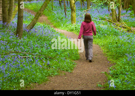 Femme marche sur un chemin à travers bluebells, dans un bois. Au printemps. Banque D'Images