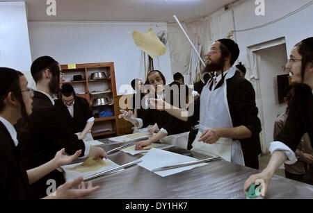 (140403) -- RECHOVOT, le 3 avril 2014 (Xinhua) -- Les Juifs ultra-orthodoxes s'matzo pour la fête juive de Pâque à une boulangerie à Rechovot, le centre d'Israël, le 2 avril 2014. Matzo est un pain sans levain traditionnellement consommé par les Juifs au cours de la semaine de vacances de Pessah, quand manger hamets, du pain et autres aliments à base de céréales levé, est interdit selon la loi religieuse juive. Pâque est un important festival juif d'origine biblique. Les juifs célèbrent la Pâque comme une commémoration de la libération de plus de 3 300 ans par Dieu de l'esclavage dans l'Egypte ancienne qui a été ru Banque D'Images