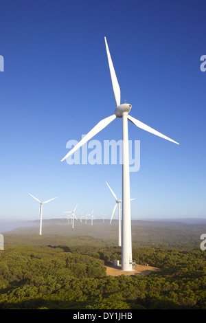 Éoliennes sur un matin brumeux à Albany Wind Farm, près de la ville du même nom dans l'ouest de l'Australie. Banque D'Images