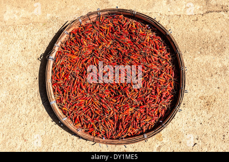 Au soleil les piments séchés dans un panier en osier pour longtemps Banque D'Images