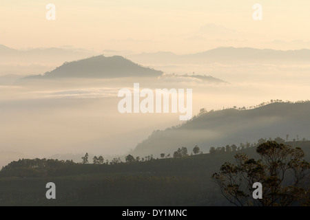 Tôt le matin, la mer de nuages majestueux dans le Sri Lanka Highlands, vu de Nuwara Eliya Banque D'Images