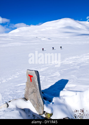 DNT marqueur dans le Rondane, la Norvège avec trois skieurs à distance Banque D'Images