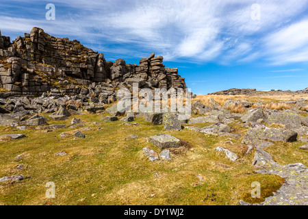 Tor de l'hiver, le parc national du Dartmoor, Belstone, l'ouest du Devon, Angleterre, Royaume-Uni, Europe. Banque D'Images