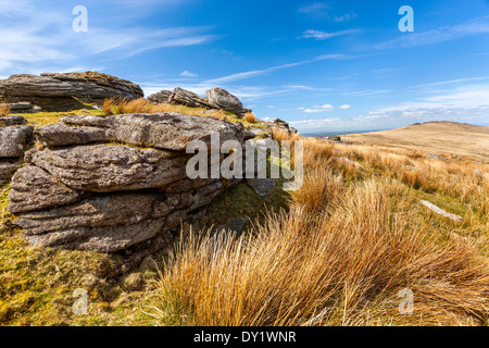 Oke Tor, Dartmoor National Park, Belstone, l'ouest du Devon, Angleterre, Royaume-Uni, Europe. Banque D'Images