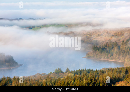 Vue sur le réservoir de Misty Burrator Tor en cuir, Dartmoor National Park, Sheepstor, l'ouest du Devon, Angleterre, Royaume-Uni, Europe. Banque D'Images