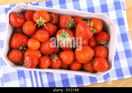 Des fraises fraîches dans du papier fort sur fond bleu-blanc, vue du dessus Banque D'Images