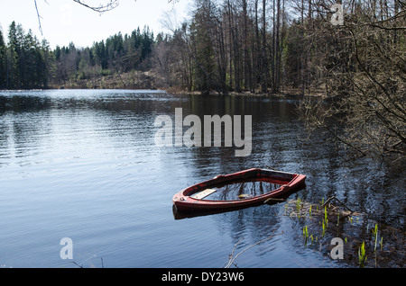 Barque remplie d'eau dans un lac de la forêt Banque D'Images