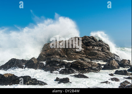 Broyage des vagues sur les rochers, West Coast National Park, Afrique du Sud Banque D'Images